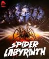 Spider Labyrinth 4K Blu-ray