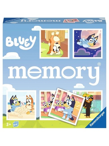 Bluey Memory